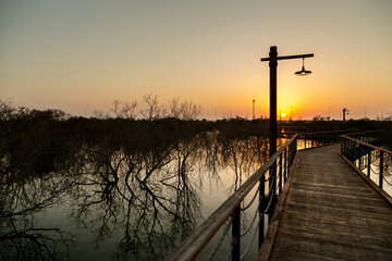 Wooden bridge at the park in Abu Dhabi during the sunset