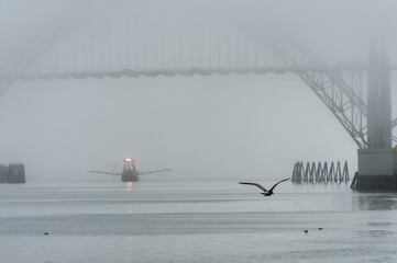 Foggy Day at Newport on the Oregon Coast
