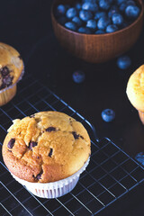 muffins o magdalenas de arándanos con un fondo oscuro