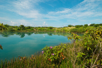 Tropical lanndscape with beautiful views along with cloudy blue skies typical of tropical oil palm plantations.