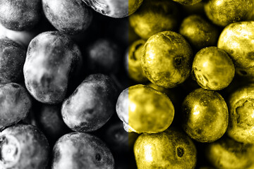 Blueberry close up background with deep shadows illuminating yellow and ultimate gray