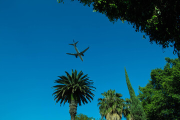 avion aterrizando entre palmeras en un plano nadir con cielo azul despejado