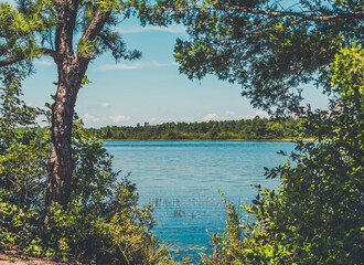 lake and trees