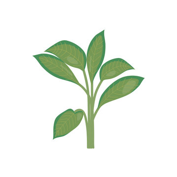 green plant icon, colorful design