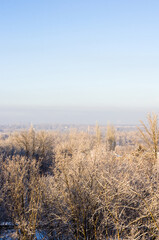 Obraz na płótnie Canvas Winter urban frosty landscape - snow covered trees on foggy background
