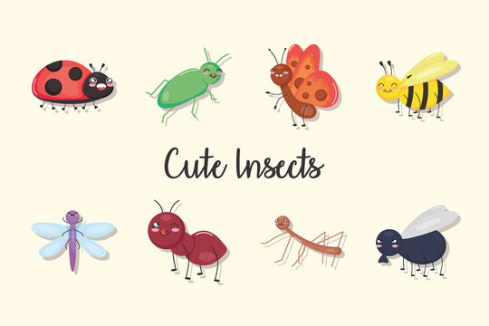 cute insects icon set, colorful design