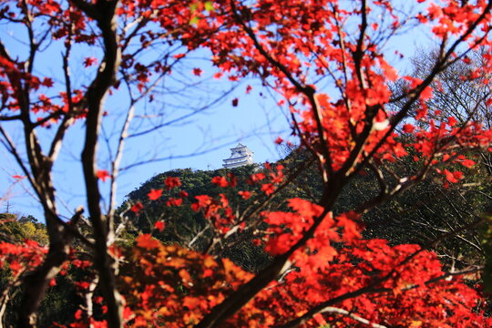 67 Best 石田三成 Images Stock Photos Vectors Adobe Stock