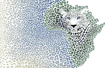 African leopard - Background of the continent map - 398586650