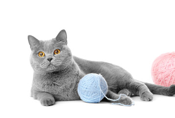 Cat with a ball of thread isolated
