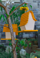 Wooden birdhouse on the tree. nobody, selective focus, blurred background.