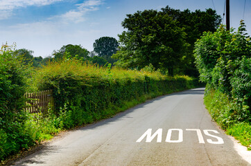 Wide empty road with large letters SLOW on the asphalt, vivid green hedge  plants from both sides and vibrant blue sky.