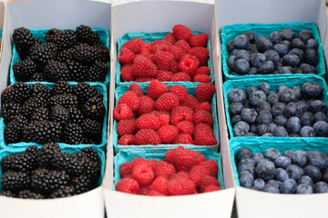 pints of mixed berries, blackberries, raspberries, and blueberries