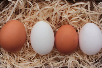 Eggs in wood shavings.  Overhead view of white and brown chicken eggs on wooden table.