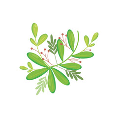 green leaves and berries icon, colorful design