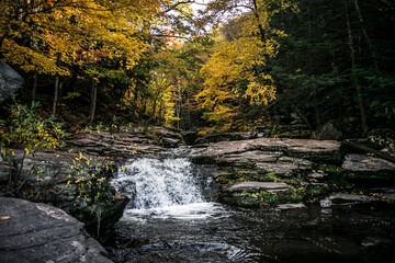 Obraz premium waterfall in autumn