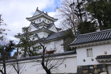 Fototapeta premium 晩秋の岐阜 大垣城