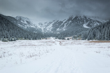 Fototapeta na wymiar Zimowy szlak górski w Tatrach