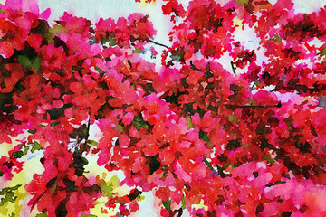 digital watercolor illustration of the flowering branch of a weeping cherry blossom tree in bright pink and red colors