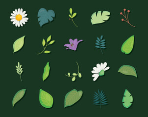 leaves and flowers icon set, colorful design