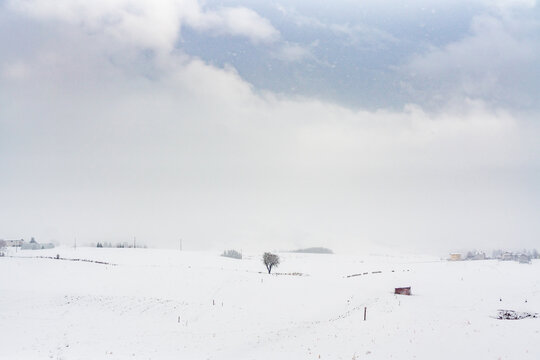 Camporovere, altopiano di asiago under teh snow