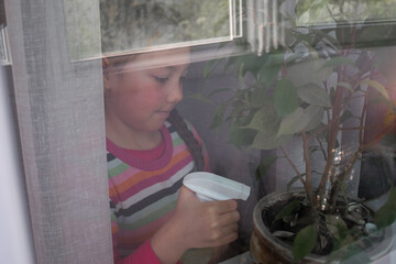 A little girl outside the window sprays a houseplant with water from a spray bottle. The child takes care of the home garden. Quarantine leisure.