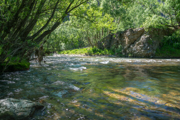 Shady river flowing between tree lined river banks in Lindis Pass.