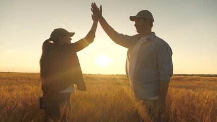 Two business people, a farmer, man and woman, greet each other with their hands in wheat field. Deal. A farmer and an agronomist with a tablet talk in a wheat field in the sun. Grain harvest.