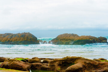 Fototapeta na wymiar Seal Rock Beach on the Oregon Coast