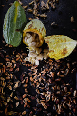 proceso de chocolate en el campo
