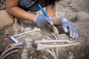 Young woman archeologist working on human remains excavation