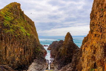 Seal Rock Beach on the Oregon Coast