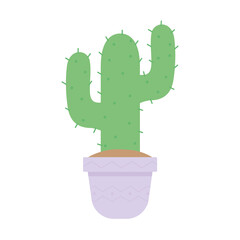 cactus with a green color and over a pot in a white background