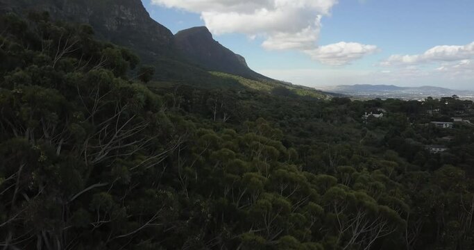 4K summer day aerial video of Cecilia Forest near Cape Town Constantia suburb. The forest is known for nature hiking trails and beautiful eucalyptus trees in Cape Peninsula, Western Cape, South Africa