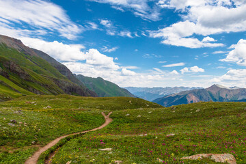 A footpath trail through the mountain wilderness in Colorado