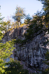 autumn in the mountains