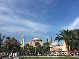 Naklejka premium Mosque Istanbul