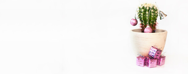 Tropical summer cactus looks like Christmas tree with Christmas star on top with copy space. New Year's banner isolated on white background. Minimal flat lay Christmas theme. New year sale concept.