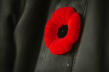 Close up of artificial poppy flower on coat lapel for Remembrance Day.