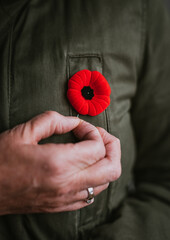 Close up of hand pinning poppy on jacket for Remembrance Day.