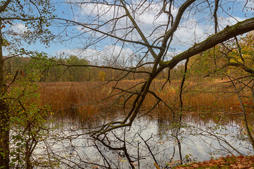 idyllic little lake in autumn with cloudy sky