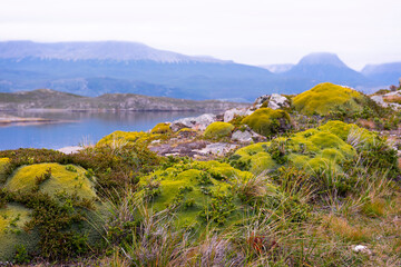 landscape with lake