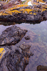 rocks in the water