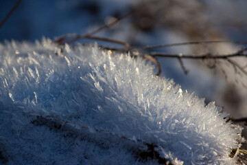 Crystalline frost in early winter
