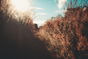 Natureza em Nova Friburgo