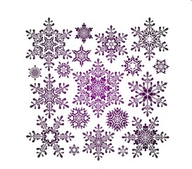set of snowflakes on white illustration 