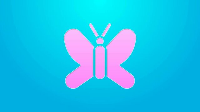 Pink line Butterfly icon isolated on blue background. 4K Video motion graphic animation