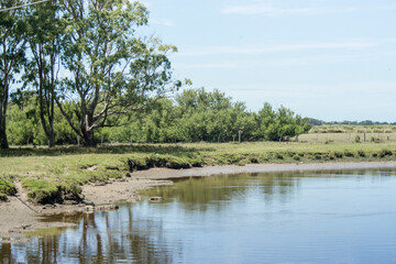 Fototapeta na wymiar Landscape in Argentina River and trees 