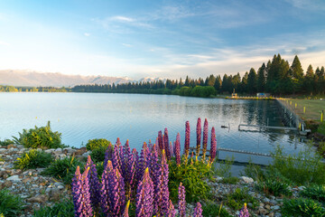 The golden hour over Lake Ruataniwha, Twizel.