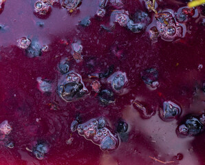 Wine material, grape juice - must, stum, maun. Technology of wine production in Moldova. The folk tradition of making wine.