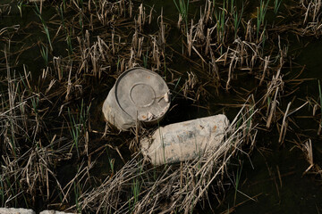 Garbage, abandoned petrol barrels in marble quarry